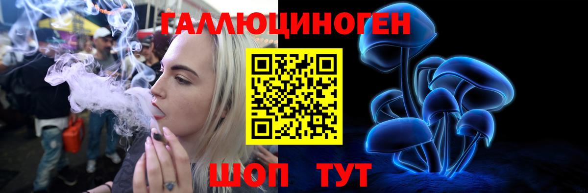 Россошь  Галлюциногенные грибы Psilocybe  Вход с VPN 